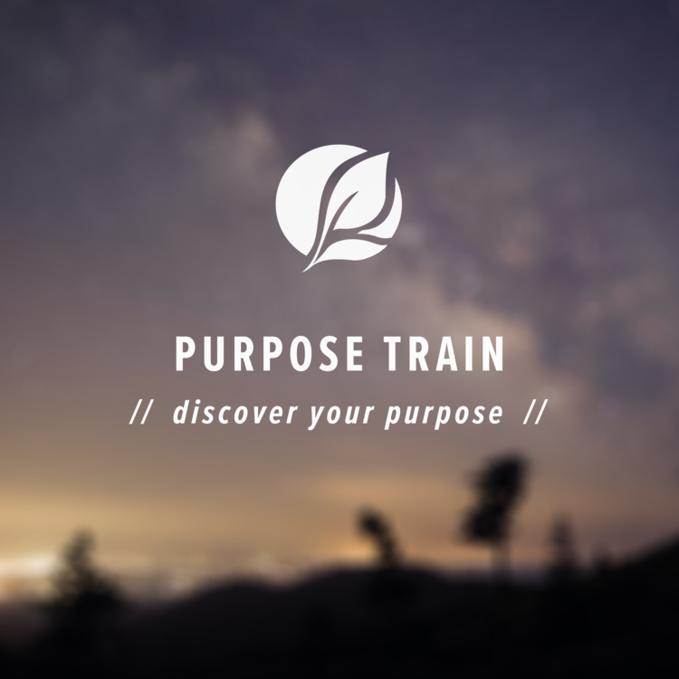Purpose Train